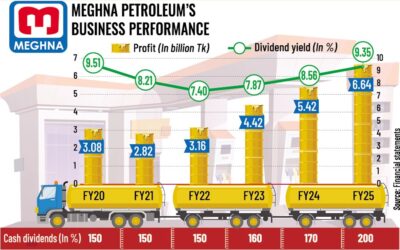 メグナ石油会社、利益率と銀行収入の増加で過去最高の利益を記録