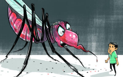 10月、デング熱による死者数が今年最高を記録