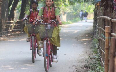 トップショット（2025年11月1日）