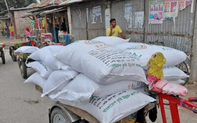 非尿素肥料の深刻な危機が冬野菜栽培を襲う