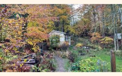 スウェーデンは静かな森を騒々しい世界からの聖域とみなしている