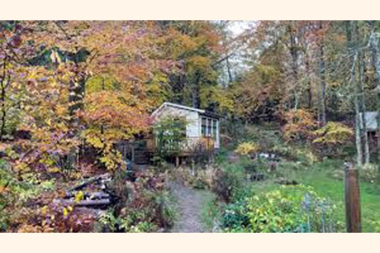 スウェーデンは静かな森を騒々しい世界からの聖域とみなしている