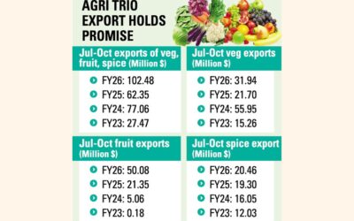 野菜、果物、スパイスの輸出が7～10月に1億ドルを超える