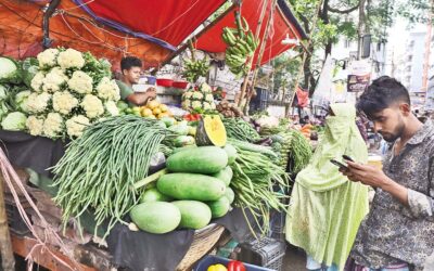 冬野菜や卵の供給増加で価格が下落
