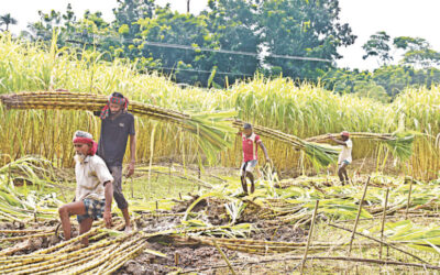 誰が我々の力を破産させたのか？
