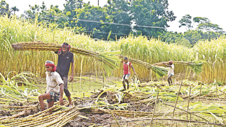 誰が我々の力を破産させたのか？
