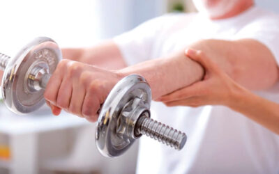 行動、包摂、自立