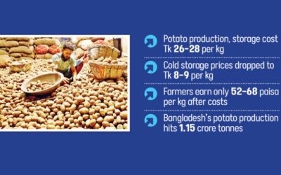 価格暴落でジャガイモ農家が借金に苦しむ