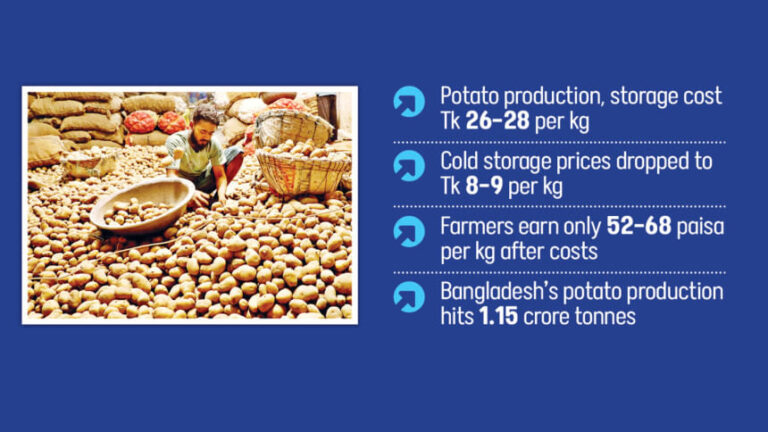 価格暴落でジャガイモ農家が借金に苦しむ