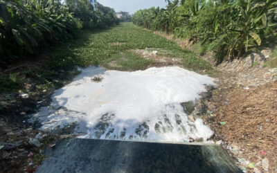未処理の廃棄物が流入し、バルノイ島は有毒物質に汚染される