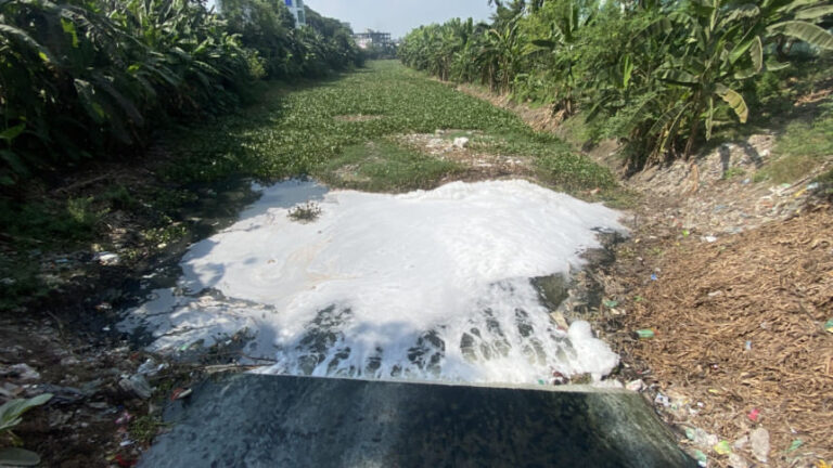 未処理の廃棄物が流入し、バルノイ島は有毒物質に汚染される