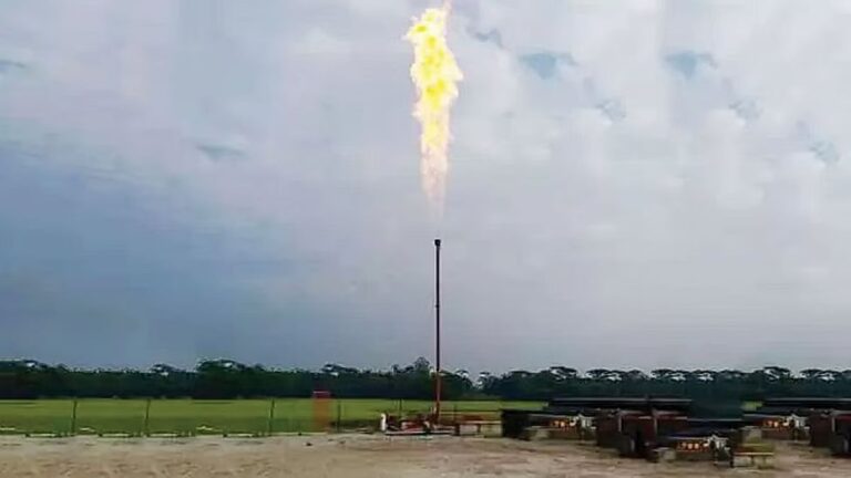 政府は地元産ガスを使ってボラに工業団地を建設する