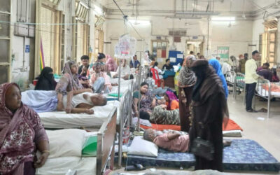 デング熱でさらに5人が死亡、792人が入院