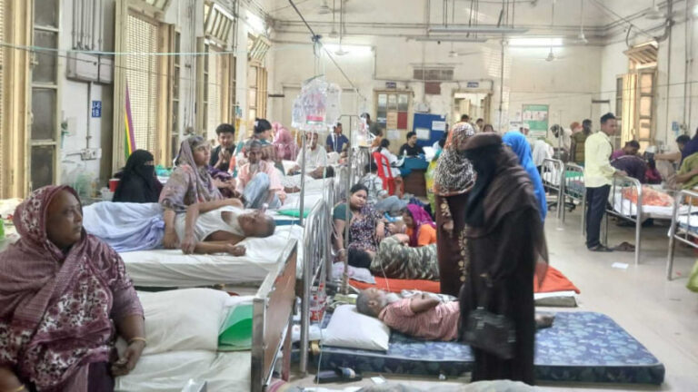 デング熱でさらに5人が死亡、792人が入院