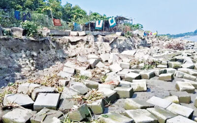 サイクロン・シドル：18年経った今もサランコーラにトラウマは残る