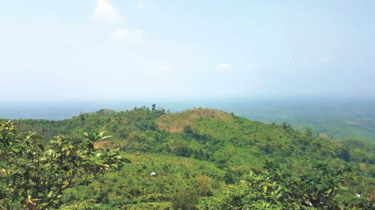 冬が到来し、観光客がサジェクに集まる