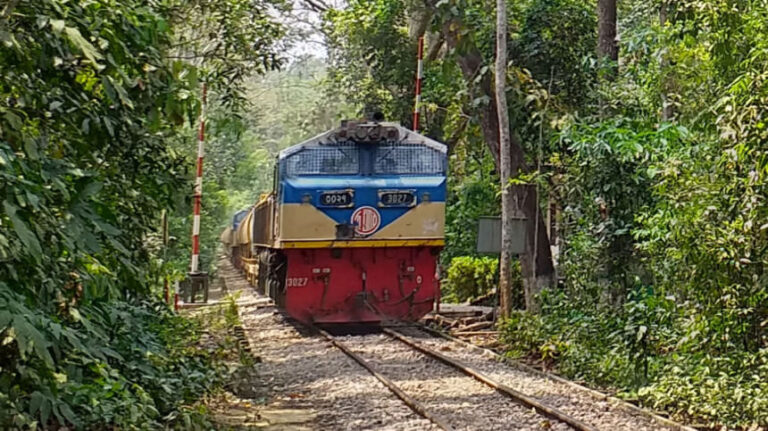 数十年にわたる放置により荒廃した道