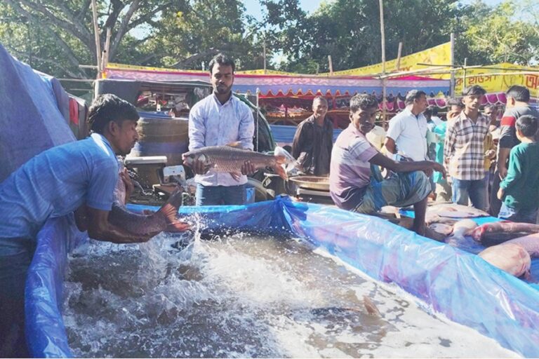 ウソリ魚フェアは圧倒的な観客を集める