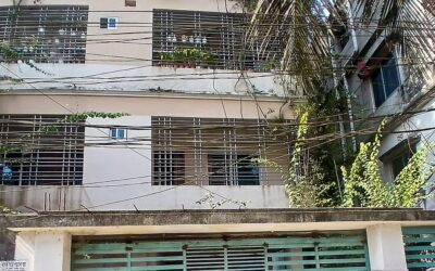 DUCSU会員ラフィアのマイメンシンの自宅が襲撃される