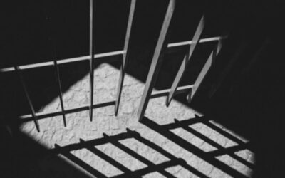 キブリア殺害事件：容疑者はDBの拘留中に死亡