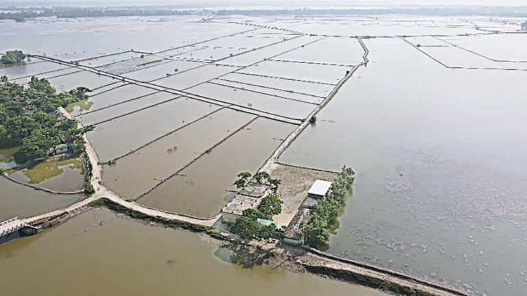 塩分濃度が南部の人々の命と生活を危険にさらしている