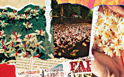 ジャスミンと旅立ちと既視感への欲求について