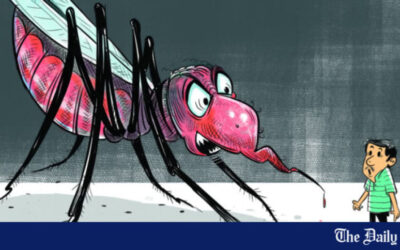 DMCHにおけるデング熱による死亡は、遅い紹介が原因