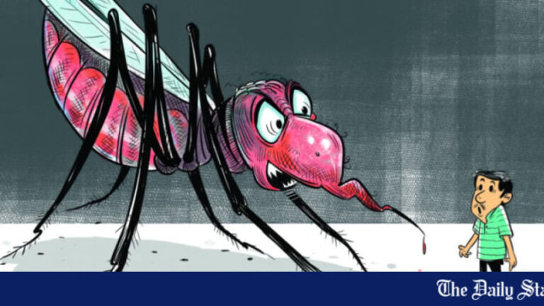 DMCHにおけるデング熱による死亡は、遅い紹介が原因