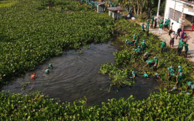 ボランティアが死にゆくバティアガタの一部を清掃