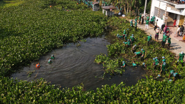 ボランティアが死にゆくバティアガタの一部を清掃