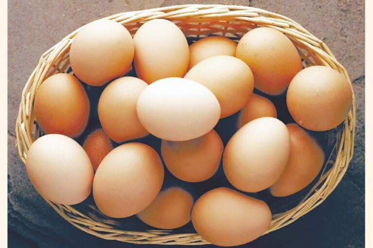 卵シンジケートの神話