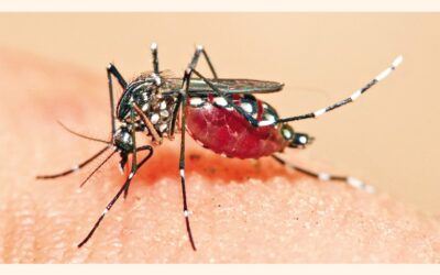 1日で5人死亡、1,162人が入院