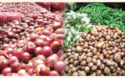 野菜、タマネギ、ジャガイモの価格がさらに下落