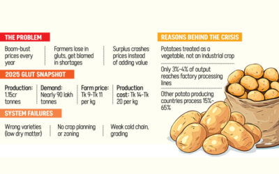 ポテトパラドックス：ライスプレートにまたカレー？これでは価格問題は解決しない