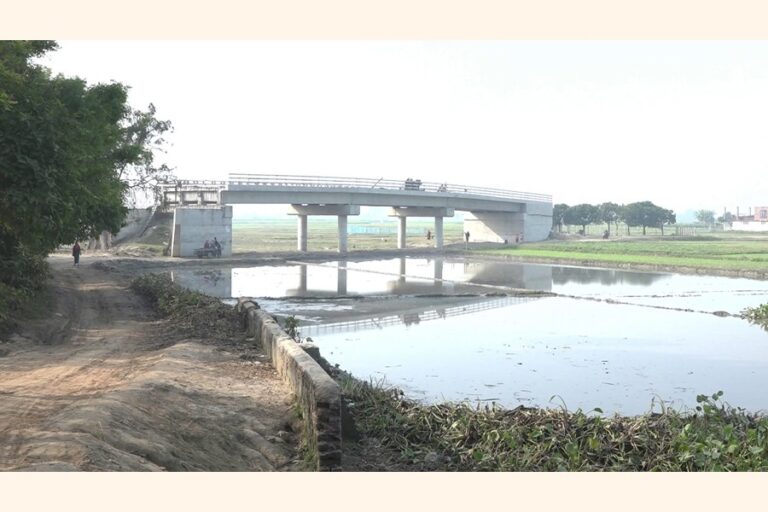 69mの橋は、アプローチ道路がなく使われていないまま放置されている。