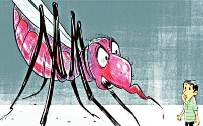 同国では今年、デング熱による死亡者数が412人、感染者数が10万件を超えた。