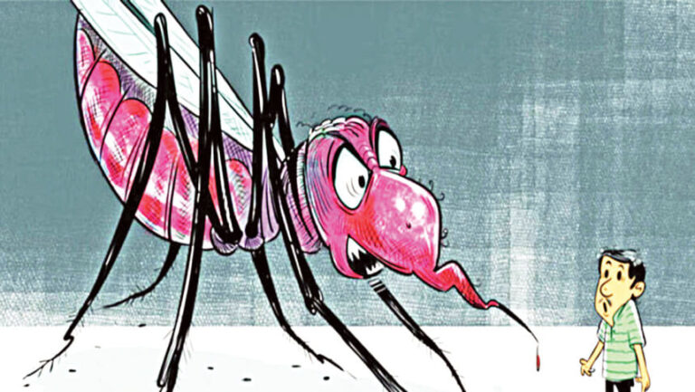 同国では今年、デング熱による死亡者数が412人、感染者数が10万件を超えた。