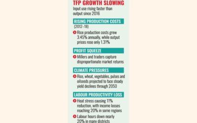 気候圧力により農業生産性が低下