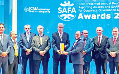 グリーンデルタがSAFA BPAアワード2025で金賞を受賞