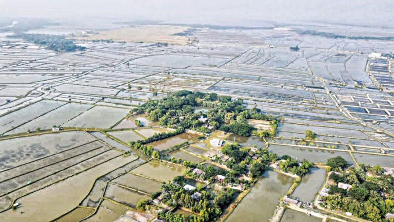 塩分濃度がサトキラ農家の収穫をいかに沈めたか