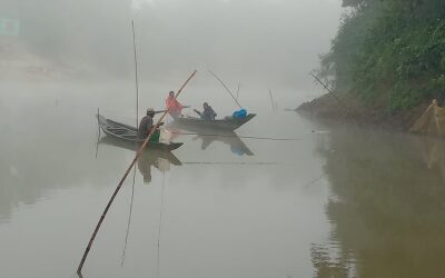 トップショット（2025年12月4日）