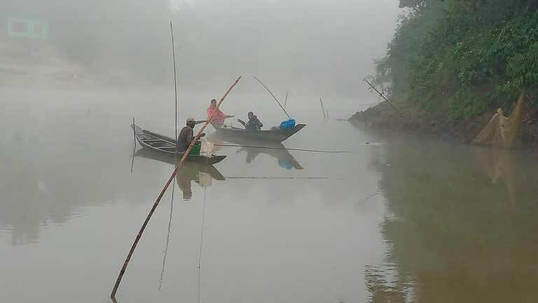 トップショット（2025年12月4日）