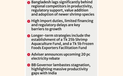 危機的状況にあるエビ産業