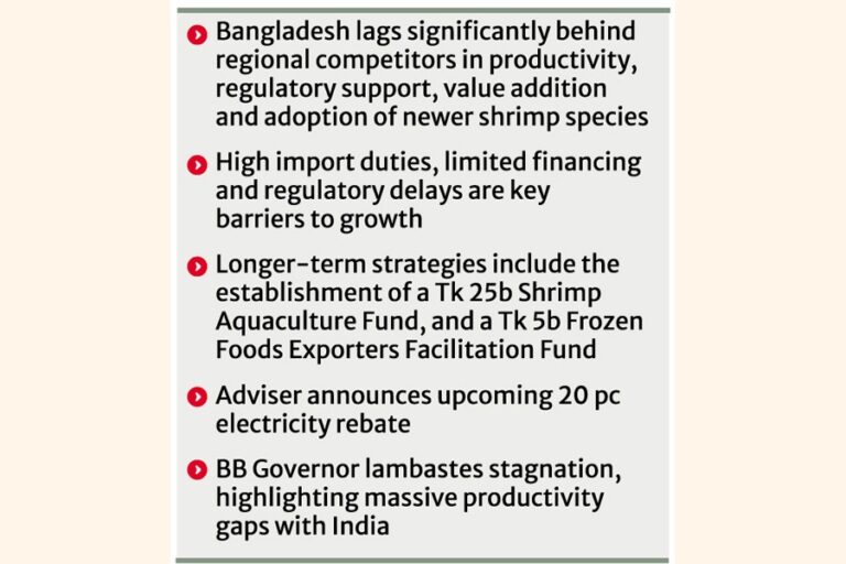 危機的状況にあるエビ産業