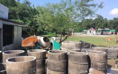 ジャマルプルのマダルガンジ：学校の校庭が倉庫に