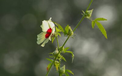 トップショット（2025年12月6日）