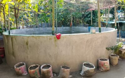 水槽での養殖がガイバンダの女性にユニークな成功をもたらす