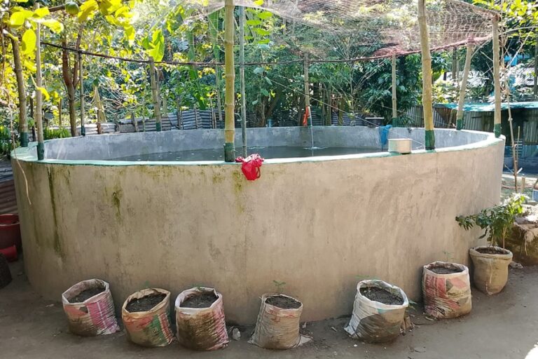 水槽での養殖がガイバンダの女性にユニークな成功をもたらす