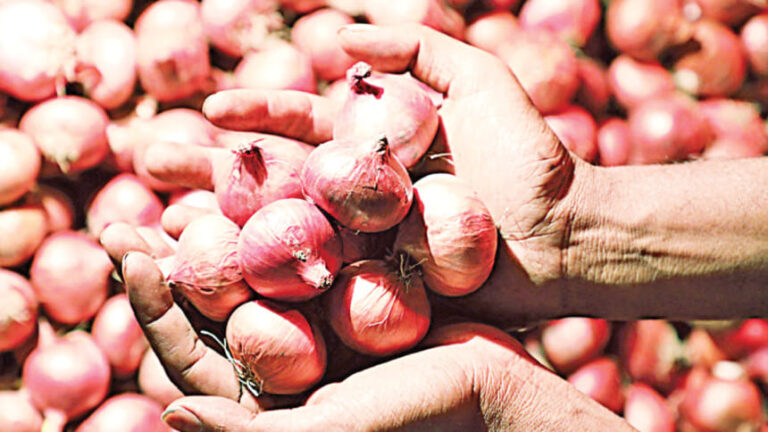 タマネギの輸入が本日再開