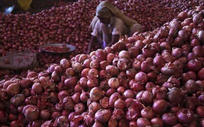 政府はインドからのタマネギ1,500トンの輸入を許可
